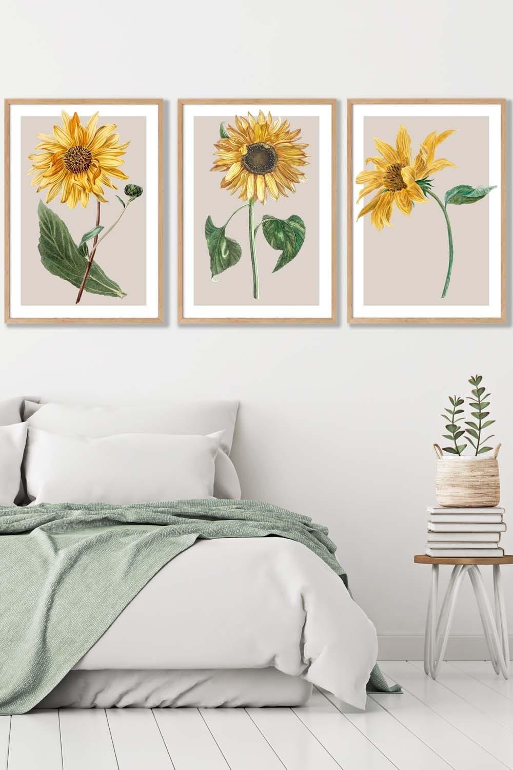 Set of 3 Oak Framed Vintage Sunflowers on Beige Wall Art